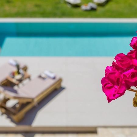 הוילה Corfu Town Garden House מראה חיצוני תמונה