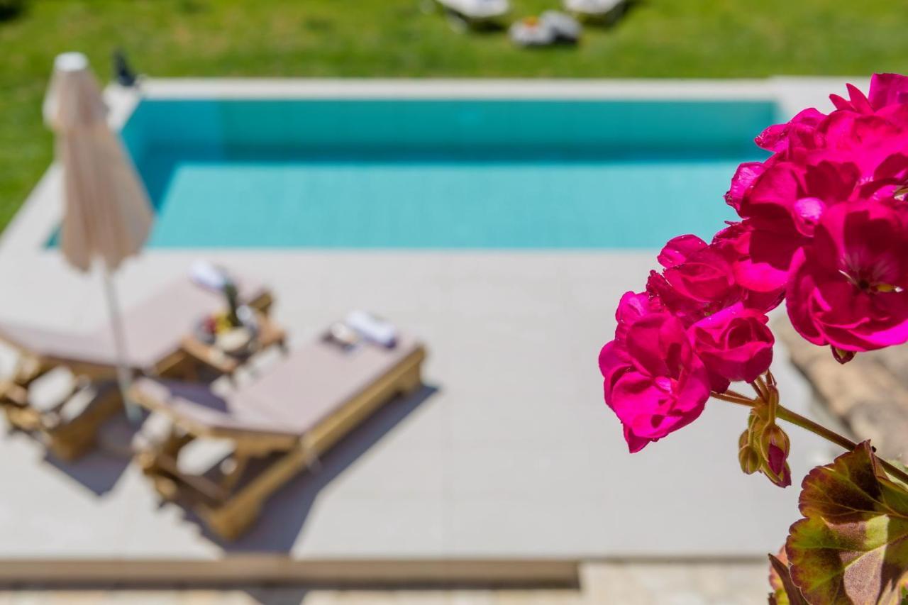 הוילה Corfu Town Garden House מראה חיצוני תמונה